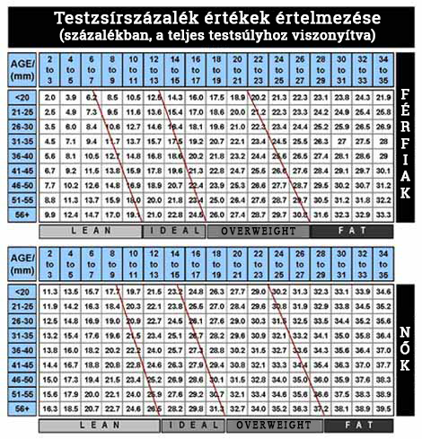 testzsír- veszteség táblázat)